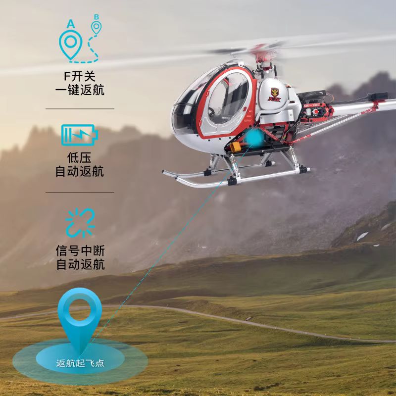 New Rc Schwarzer 300c Electric - đánh giá và giá Rc Helicopter Large